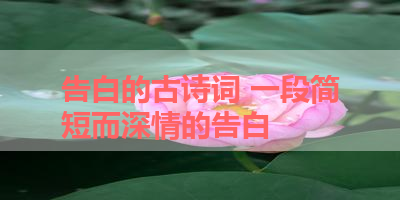 告白的古诗词 一段简短而深情的告白