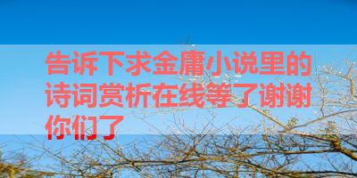 告诉下求金庸小说里的诗词赏析在线等了谢谢你们了 