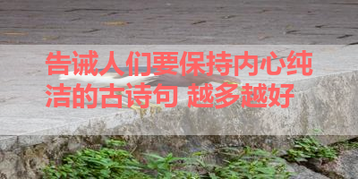 告诫人们要保持内心纯洁的古诗句 越多越好 
