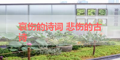 哀伤的诗词 悲伤的古诗