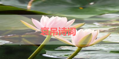 哀吊诗词 
