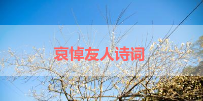 哀悼友人诗词 