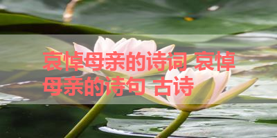 哀悼母亲的诗词 哀悼母亲的诗句 古诗