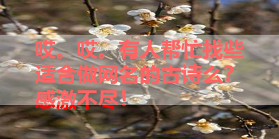 哎。哎。有人帮忙找些适合做网名的古诗么？感激不尽！ 