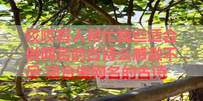 哎哎有人帮忙找些适合做网名的古诗么感激不尽 适合做网名的古诗