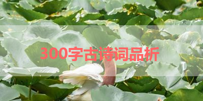 300字古诗词品析 