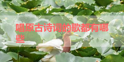 唱原古诗词的歌都有哪些 