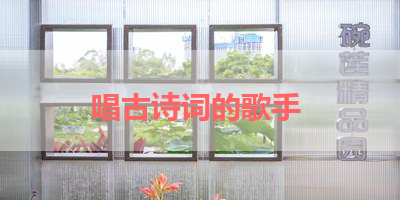 唱古诗词的歌手 