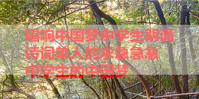唱响中国梦中学生朗诵诗词单人的求急急急 中学生的中国梦