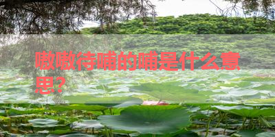 嗷嗷待哺的哺是什么意思？ 