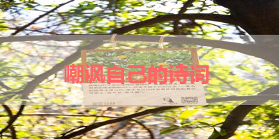 嘲讽自己的诗词 