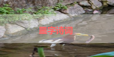 噩字诗词 