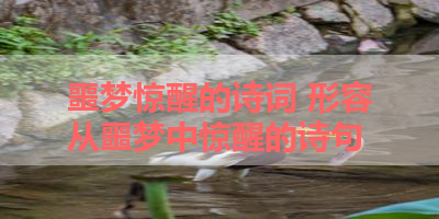 噩梦惊醒的诗词 形容从噩梦中惊醒的诗句 