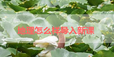 地理怎么样导入新课 