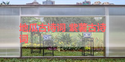地瓜古诗词 紫薯古诗词