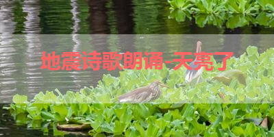 地震诗歌朗诵-天亮了 