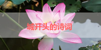 城开头的诗词 