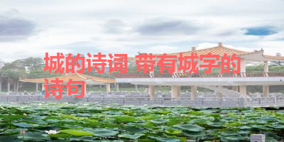 城的诗词 带有城字的诗句 