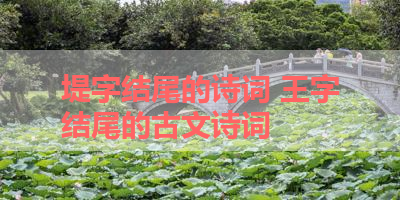 堤字结尾的诗词 王字结尾的古文诗词 