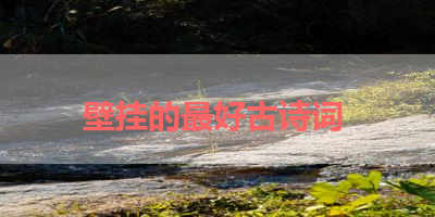 壁挂的最好古诗词 