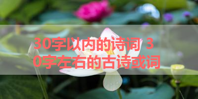 30字以内的诗词 30字左右的古诗或词 