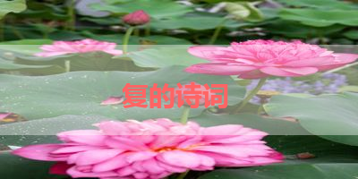 复的诗词 