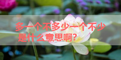 多一个不多少一个不少 是什么意思啊？ 