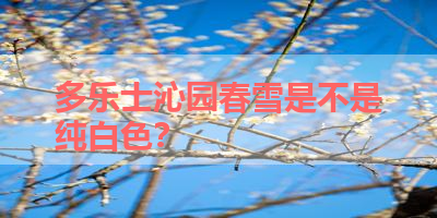 多乐士沁园春雪是不是纯白色？ 