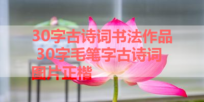30字古诗词书法作品 30字毛笔字古诗词图片正楷 