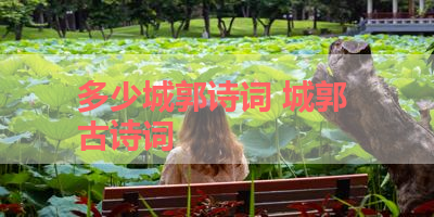 多少城郭诗词 城郭 古诗词