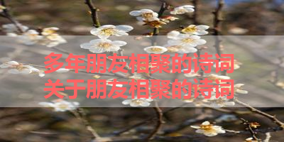 多年朋友相聚的诗词 关于朋友相聚的诗词