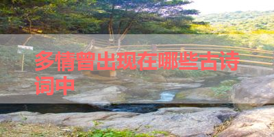多情曾出现在哪些古诗词中 