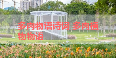 多肉物语诗词 多肉植物物语