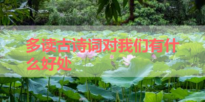 多读古诗词对我们有什么好处 