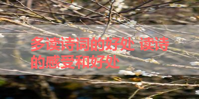 多读诗词的好处 读诗的感受和好处