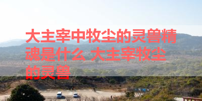 大主宰中牧尘的灵兽精魂是什么 大主宰牧尘的灵兽
