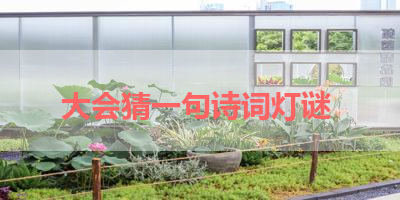 大会猜一句诗词灯谜 