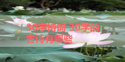 30字诗词 30字的古诗有哪些 