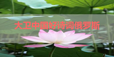 大卫中国好诗词俄罗斯 