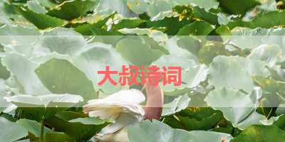 大叔诗词 