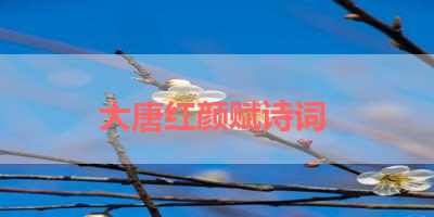 大唐红颜赋诗词 