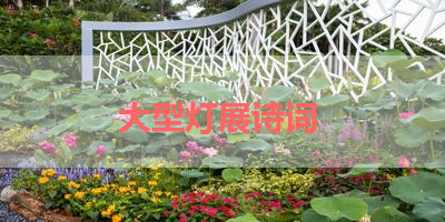 大型灯展诗词 