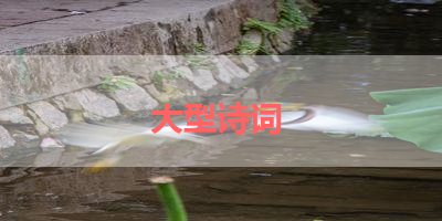 大型诗词 