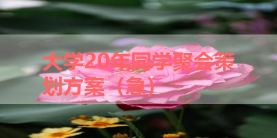 大学20年同学聚会策划方案（急） 