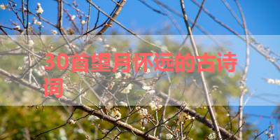 30首望月怀远的古诗词 