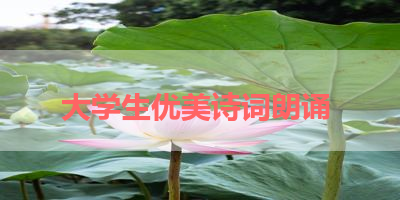 大学生优美诗词朗诵 