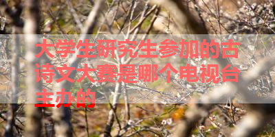 大学生研究生参加的古诗文大赛是哪个电视台主办的 