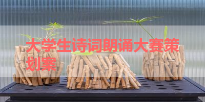 大学生诗词朗诵大赛策划案 