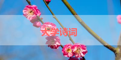 大学诗词 