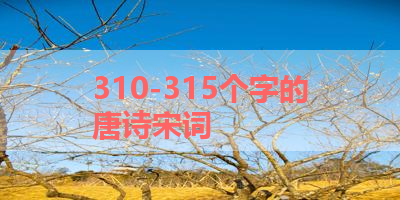 310-315个字的唐诗宋词 